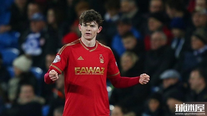 贡献着绵绵 贡献着绵绵